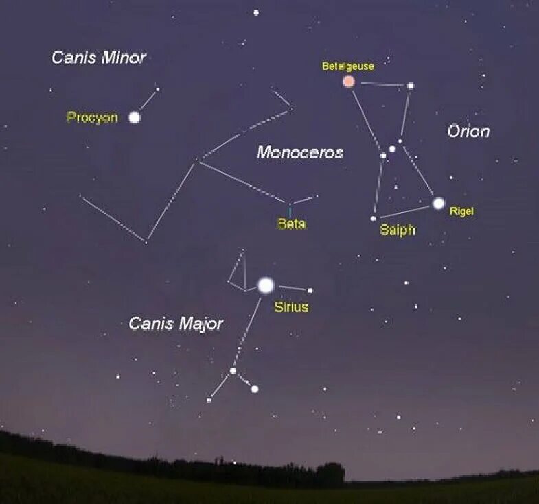 Самая яркая звезда в созвездии большого пса. Сириус звезда в созвездии большого пса. Canis Major Созвездие. Сириус – яркая звезд созвездия большой пес.