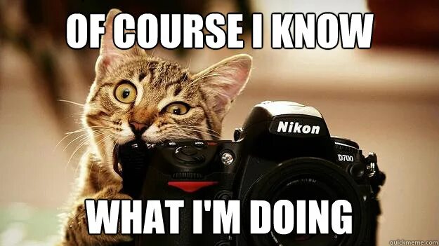 I know what i m doing
