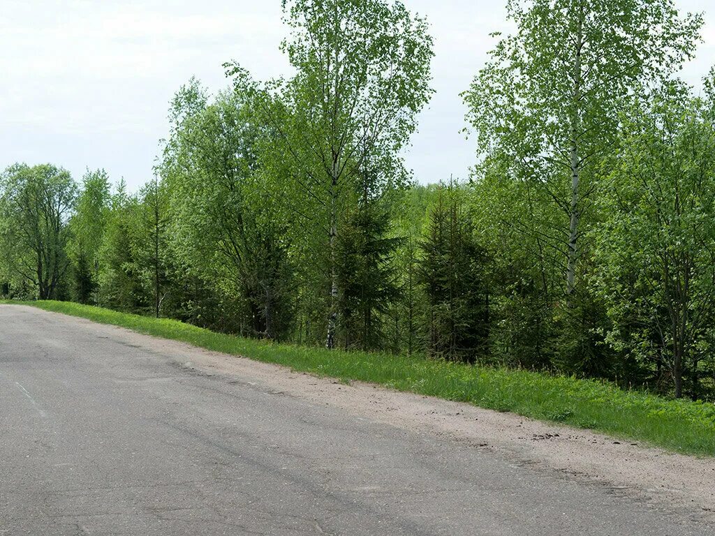 Погода лесные поляны московской области. КП Лесная Поляна Пушкинский район. Поселок Полянка Лесные Поляны. Лесные Поляны Московская область КП. Московская область Пушкинский район поселок Лесные Поляны.