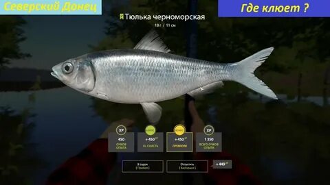 Рр4 снасти