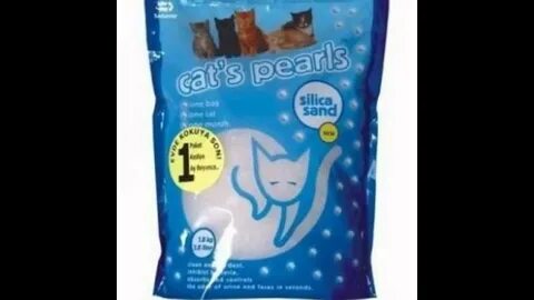Pearl cat