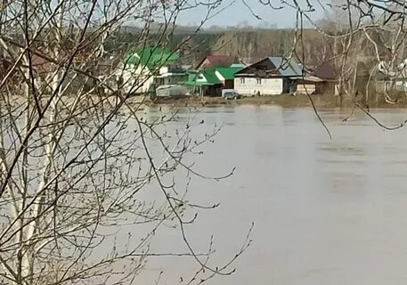 Бийск уровень