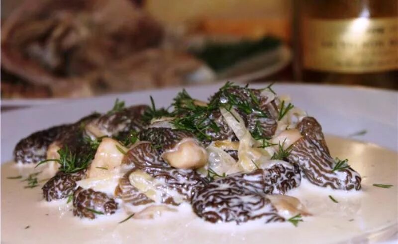 Как приготовить сморчки грибы вкусно на сковороде