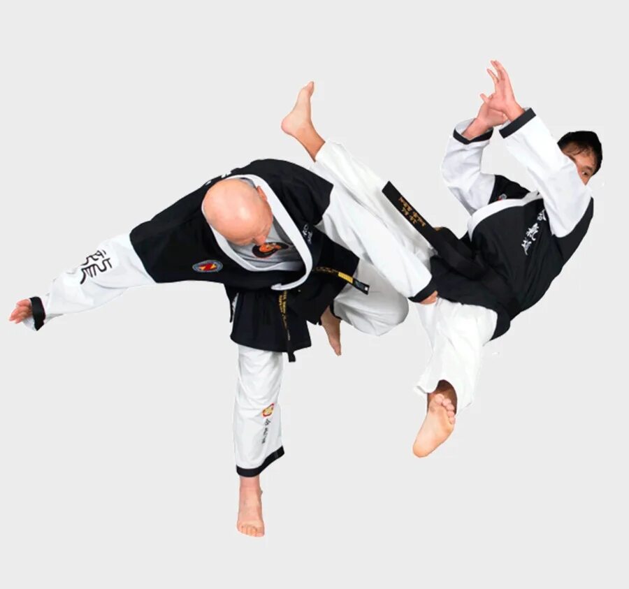 Южная корея хапкидо. Хапкидо. Хапкидо корея. Хапкидо удары. Спорт хапкидо.
