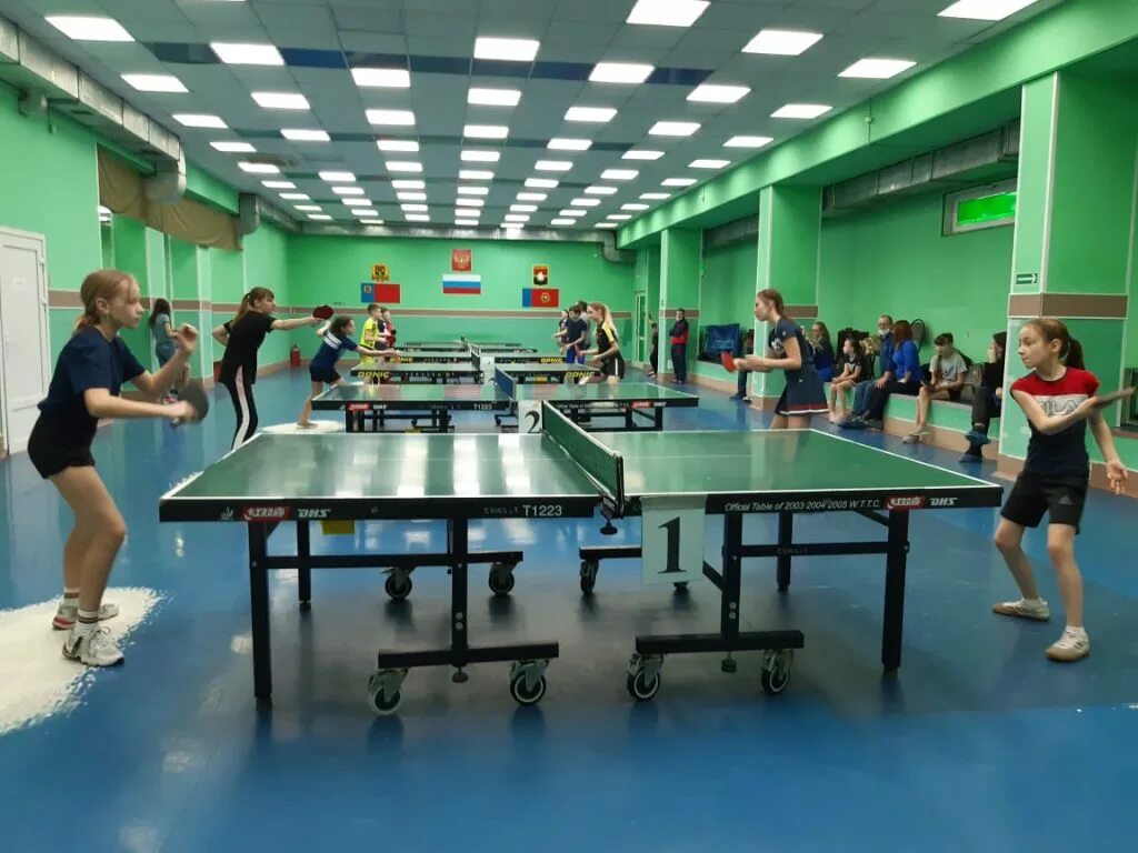 клубы по месту жительства. клуб по месту жительства. спортивные клубы по месту жительства. клуб настольного тенниса. эмблема клуба по месту жительства.