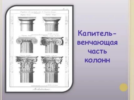 Капитель является профессионализмом