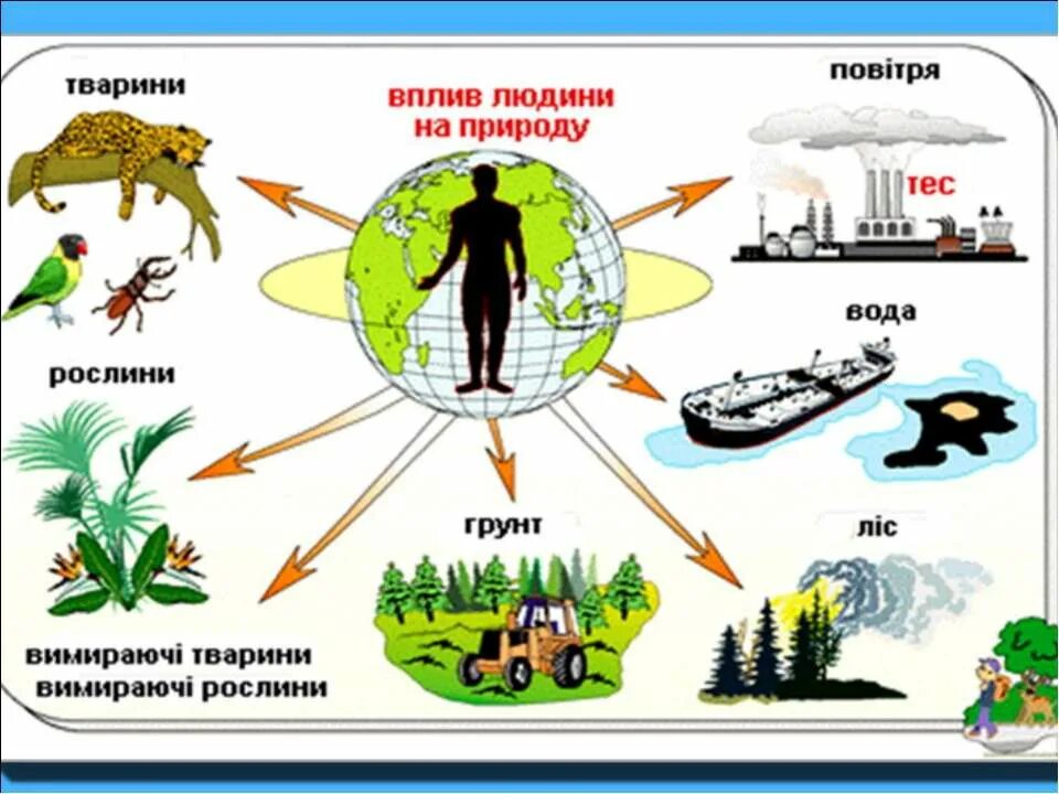 5 положительных влияний человека на природу. Влияние человека на природу. Влияние человека на пр. Влияние человека на природу схема. Воздействие человека на природу и природы на человека.