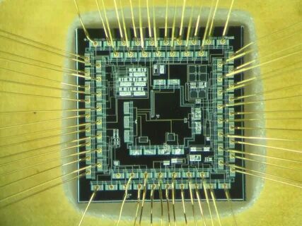 Chip device