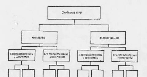 Основные виды спортивных игр кратко