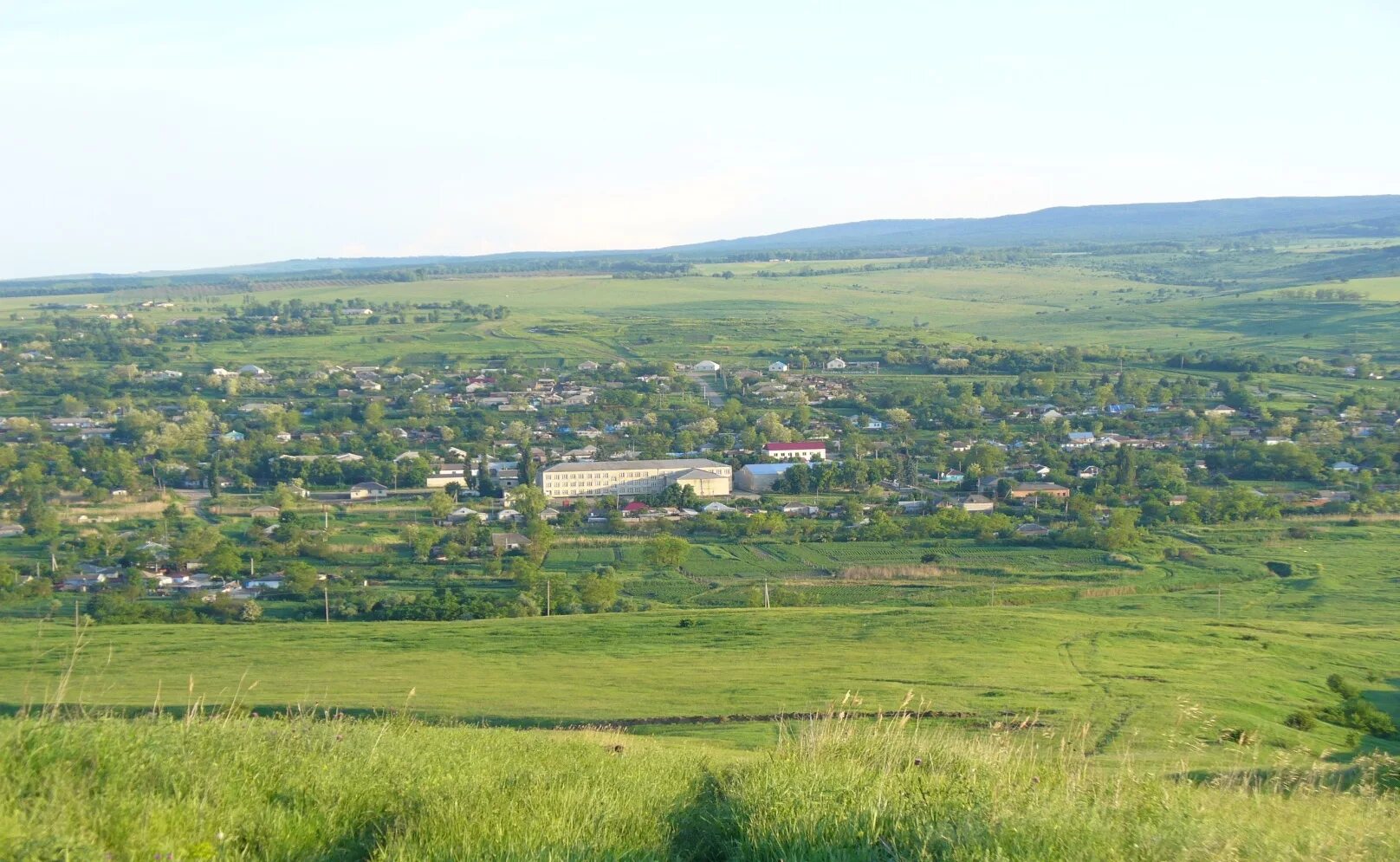 Ст темнолесская. Село Гофицкое Ставропольский край. Станица Темнолесская Ставропольский край. Шпаковский район станица Темнолесская. Петровский район Ставропольский край.