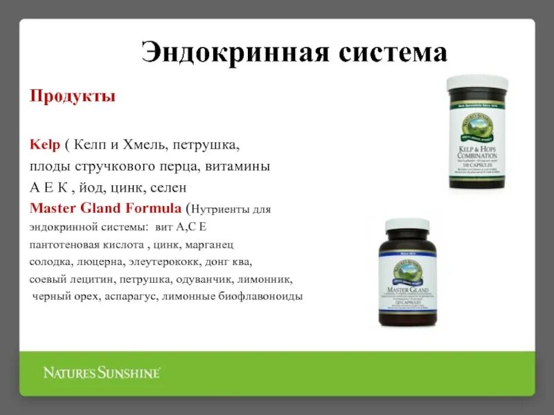 Можно ли пить селен и цинк вместе. Селен цинк нсп. келп nsp. продукты полезные для эндокринной системы. витамины для эндокринной системы.