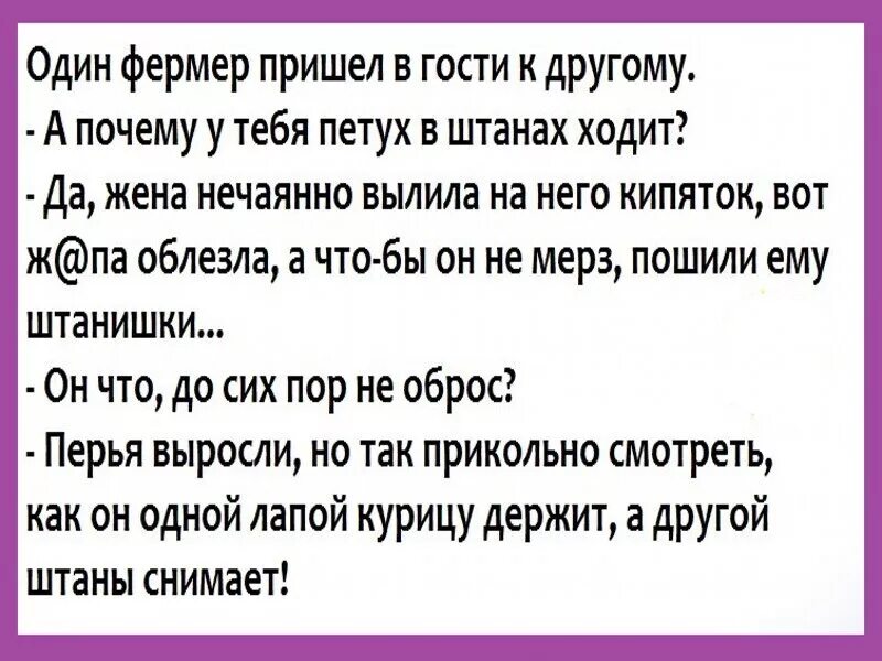 Сидела женщина скучала стихотворение. Пришел в гости с другом. Сидела женщина скучала стихотворение прикол. У всех проблем одно начало сидела женщина скучала стих. Стихотворение пришли гости