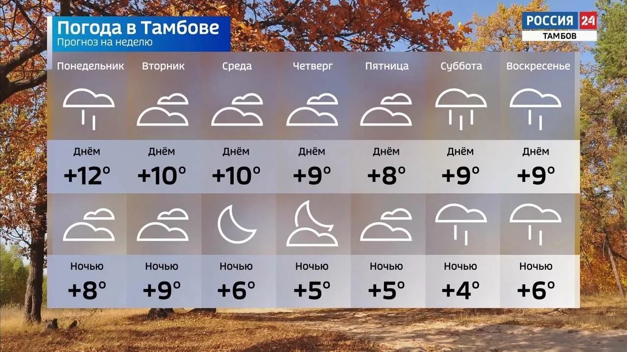 Погода тамбовская недели. Прогноз погоды в Тамбове. Прогноз погоды в Тамбове на неделю. Прогноз в Тамбове на неделю. Погода в Рассказово на неделю.