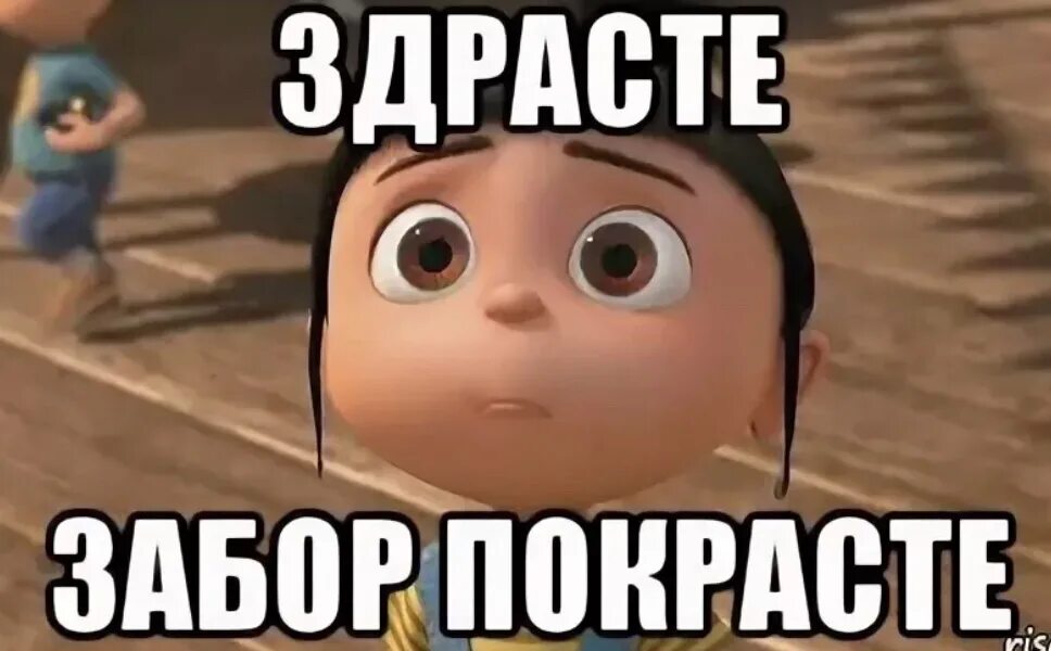 Здрасте мем. Сын собаки. Честно говоря я в ахуе кот. Мемы про котиков. Давай расскажи мне мем.