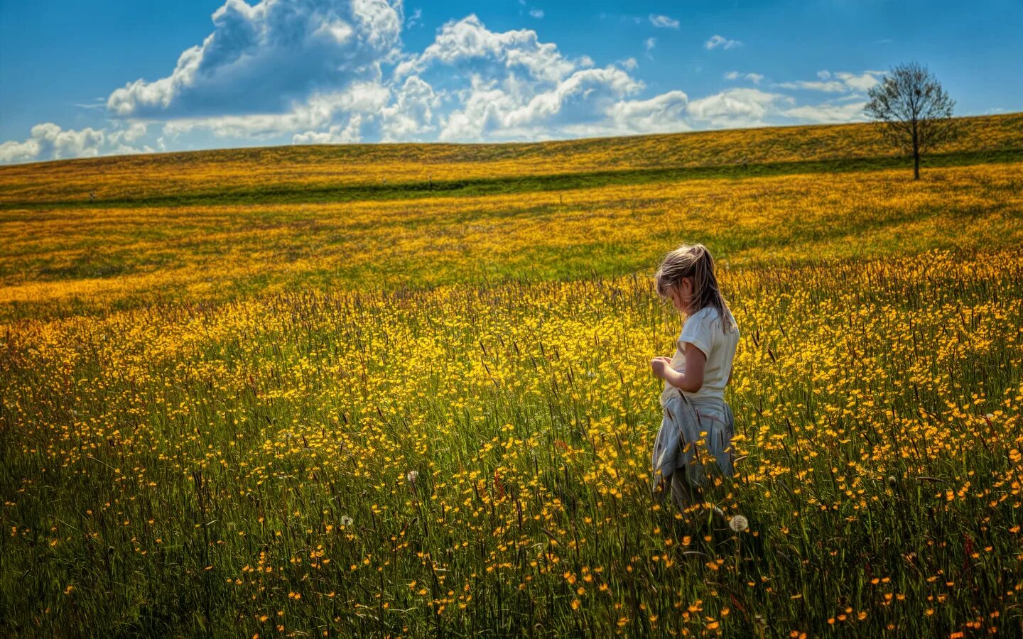 Девушка в поле. Дети на лугу. Фотосессия в лугах. Лето девушка в поле. The knowing field