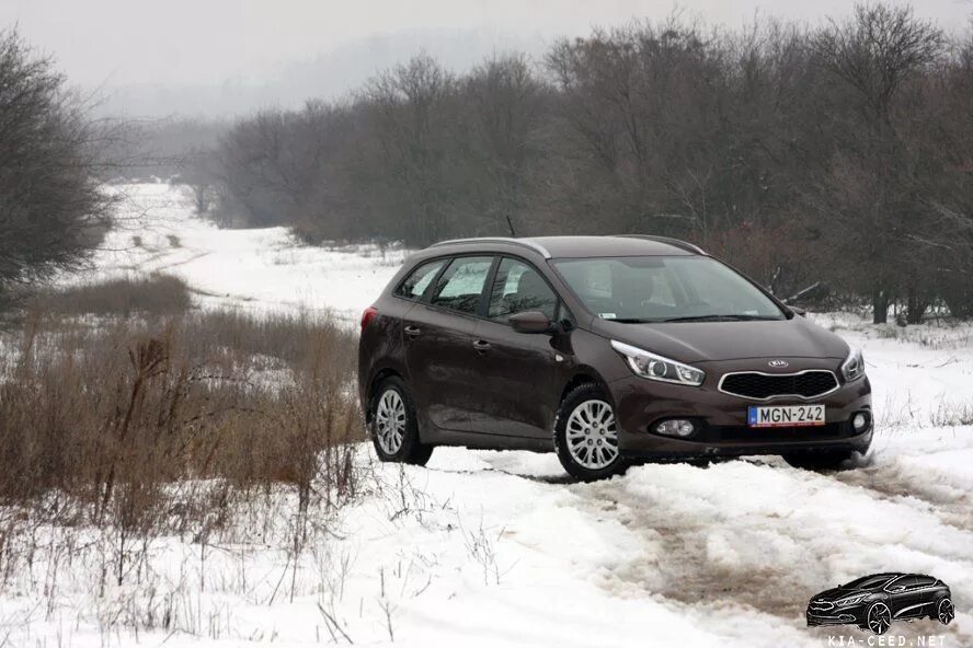 Kia Ceed SW клиренс. Kia Ceed 2014 универсал. Kia Ceed JD 2014 универсал. Kia Ceed JD 2013 просвет. Клиренс сид универсал