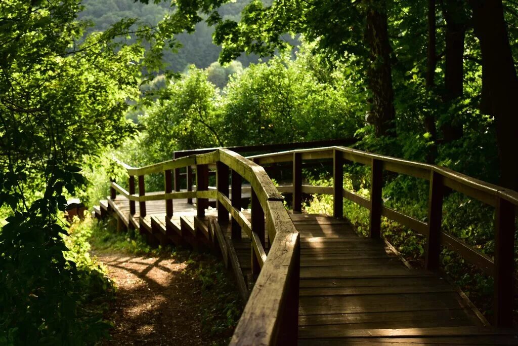 парк долина реки сходня. парк реки сходня. сходня парк. парк реки сходня. долина реки сходни в куркино.