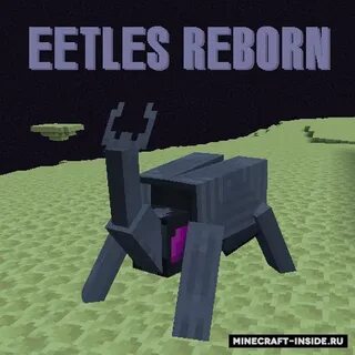 Reborn 1.12 2
