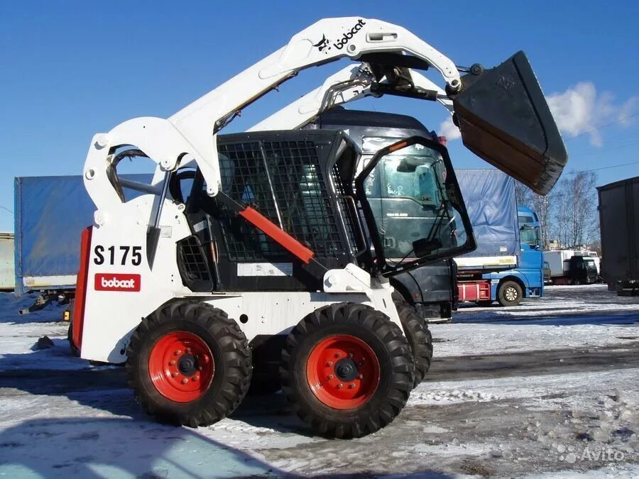 Услуги бобкэт. Погрузчик Bobcat s175. Мини Бобкэт s175. Мини погрузчик Bobcat s175. Бобкэт 175.