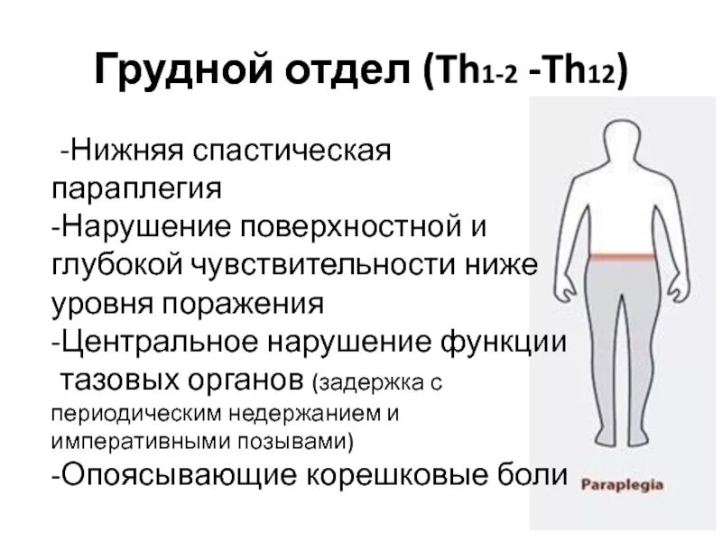 Парез латынь. Нижний спастический парапарез синдромы. Периферический парапарез нижних конечностей. Верхний спастический парапарез. Центральный парапарез нижних конечностей.