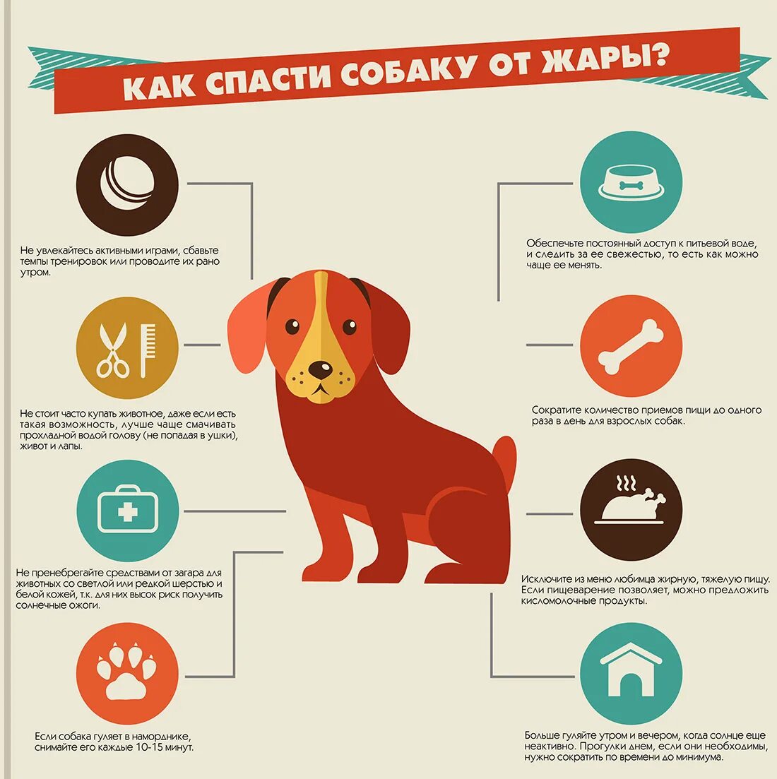 Как спастись от животных