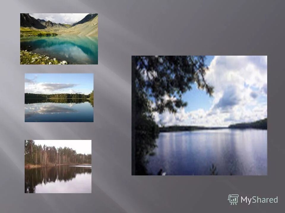 озера водохранилища болота 8 класс