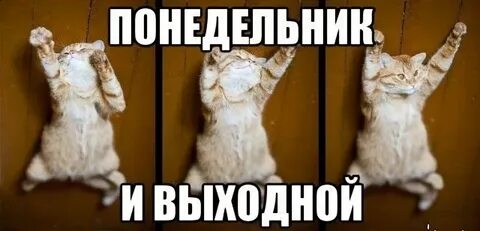 Когда выходные будет тебе