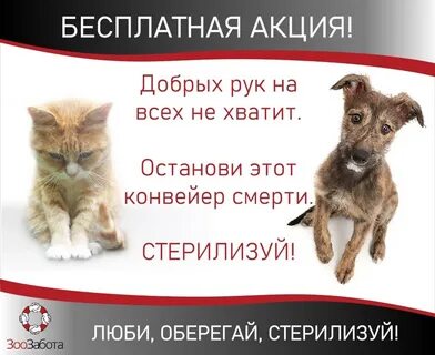 Добрые руки казань