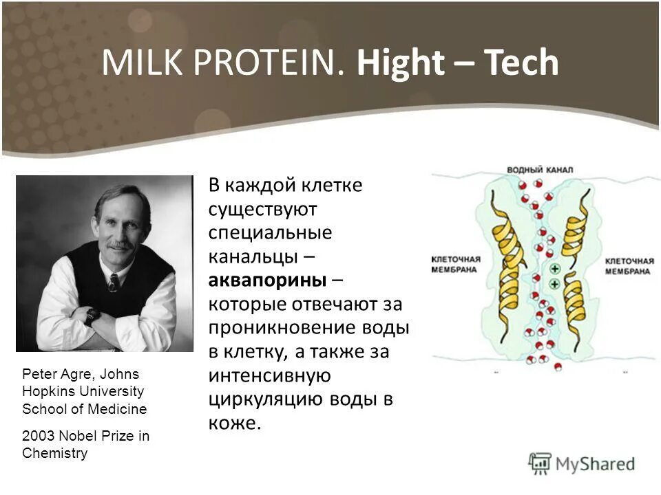 внешний управляющий не вправе. в каждой клетке имеется. строение выделительной системы животных. аквапорины биохимия. в каждой клетке имеется.
