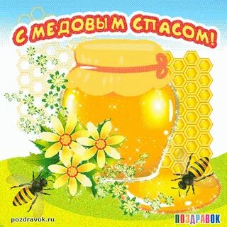 Спасибо за мед картинки прикольные