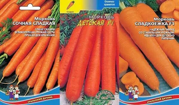 морковь самый. морковь самый. морковь самый. морковь семена лучшие сорта для открытого грунта сибирь. морковь на белом фоне.