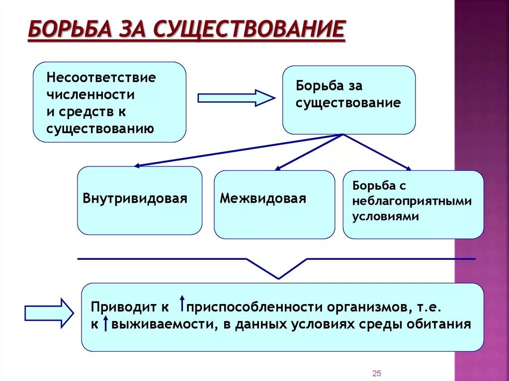 Формы борьбы за существование