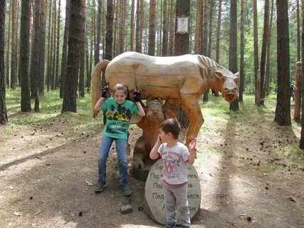 Погода в савватеевке