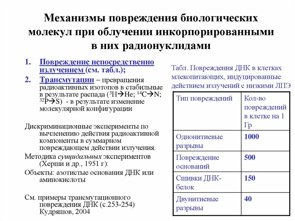 Средства профилактики радиационных поражений. Средство профилактики поражений при инкорпорации радионуклидов:. Инкорпорированное облучение. Современные схемы инкорпорации радионуклидов. Профилактика поражения радионуклидами.