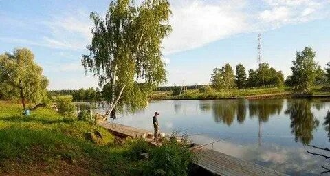 Лыткин платная рыбалка