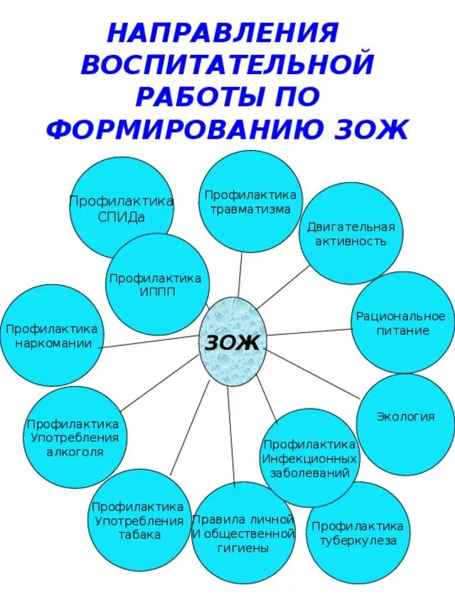 Организация здоровья учащихся. Развитие здорового образа жизни. Формирование ЗОЖ. Направления формирования ЗОЖ. Основы формирования здорового образа жизни.