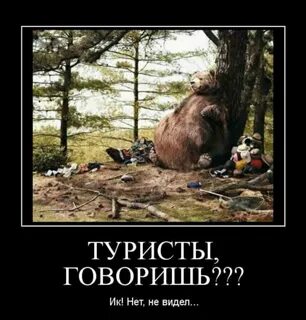 Приколы с туристами (много фото) - viewsnap.ru