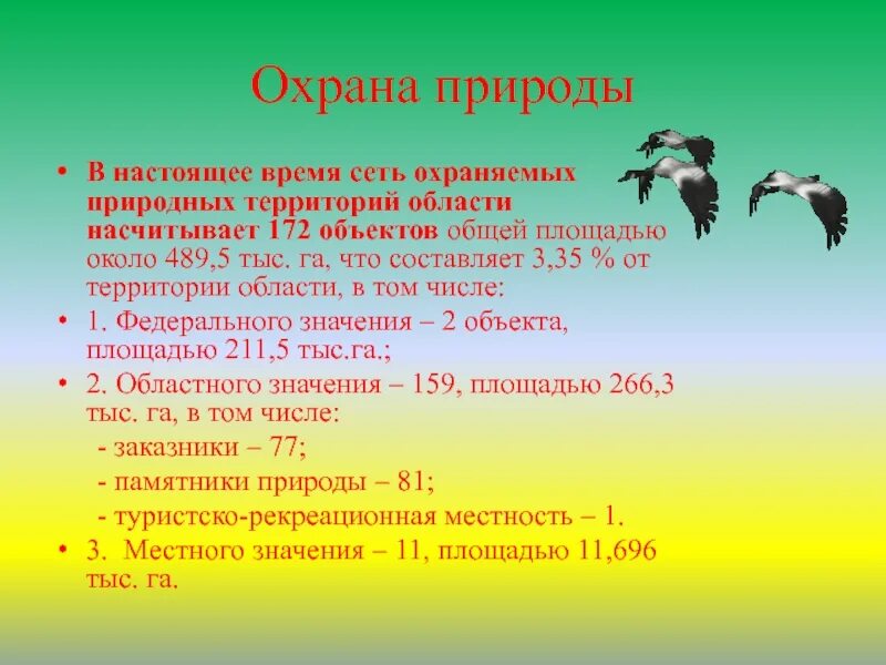 Проект "Разнообразие природы родного края": где найти образец?
