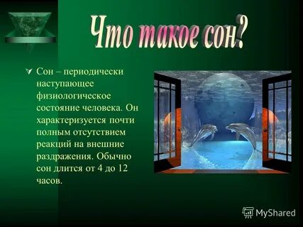 Какой сон домов
