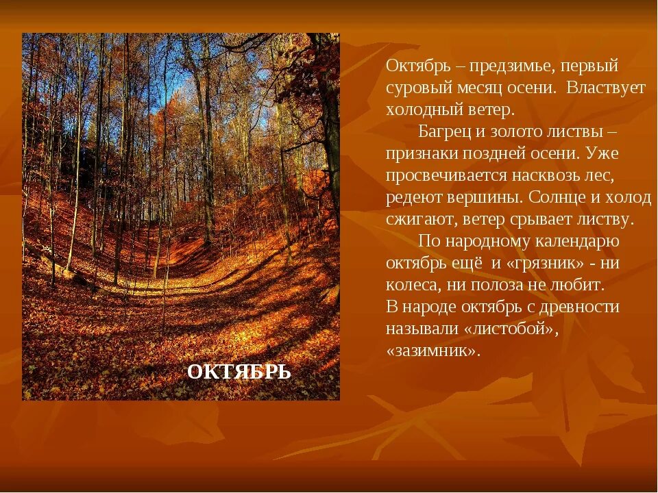 3 октября словами. Октябрь месяц осени. Октябрь описание месяца. Приметы поздней осени. Октябрь первый холодный месяц осени.