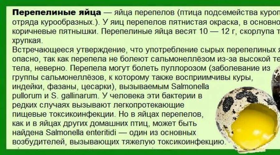 Сколько яиц можно ребенку. С какого возраста можно давать ребёнку яйцо. Когда можно давать желток ребенку. Перепелиное яйцо с какого возраста можно давать ребенку. Когда можно белок яйца ребенку