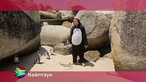 Орел и решка кейптаун