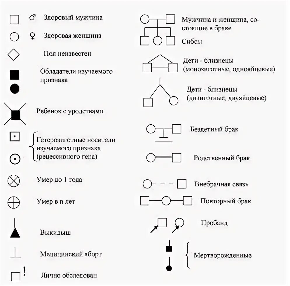 Условные обозначения в генеалогическом древе