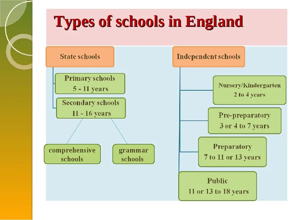 Типы школ в Англии. Виды школ на английском языке. Виды школ в Великобритании схема. Виды школ в Англии на английском языке. Type school in russia
