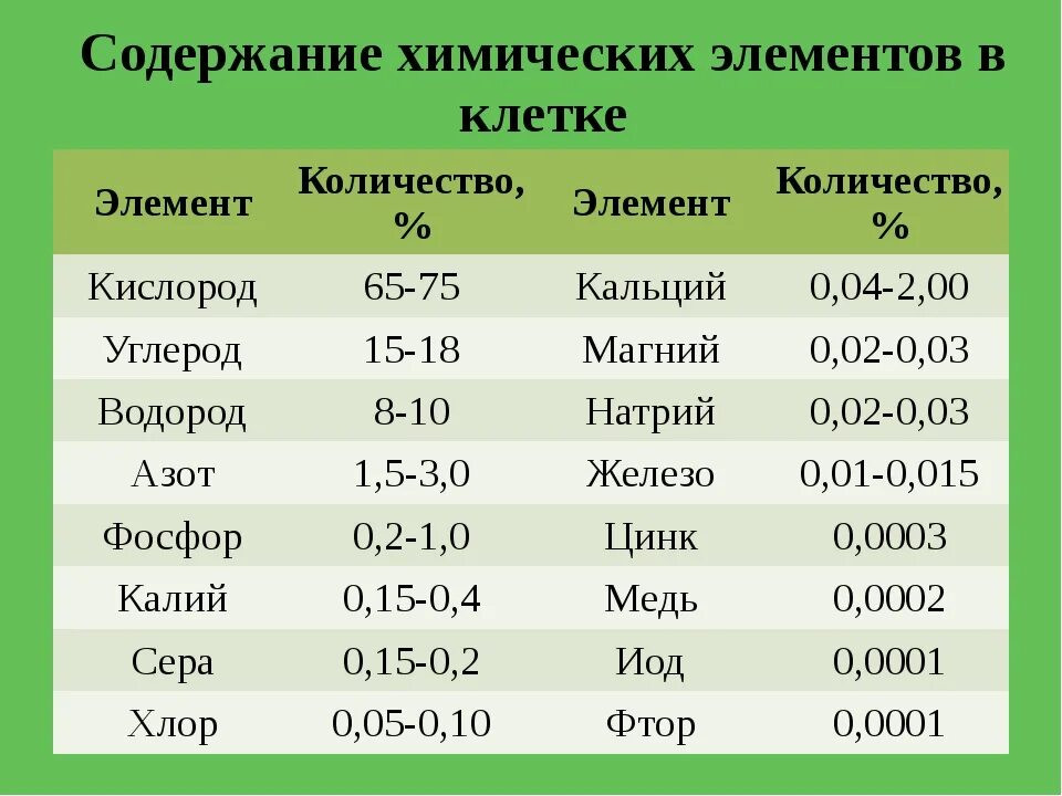 Сколько процентов кислорода содержится в атмосфере. Химические элементы клетки. Клетка содержит химические элементы. Химические компоненты клетки.