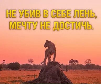 Погубленное счастье