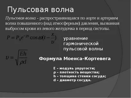 Скорость пульсовой волны