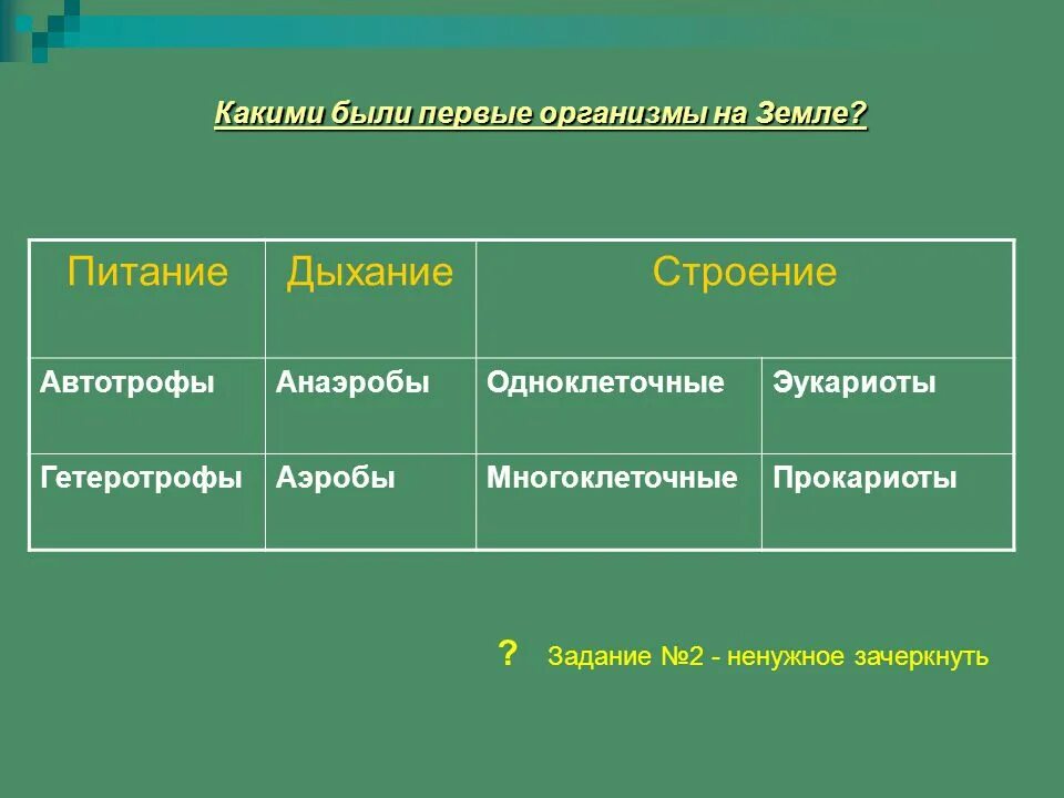 Анаэробные гетеротрофные прокариоты