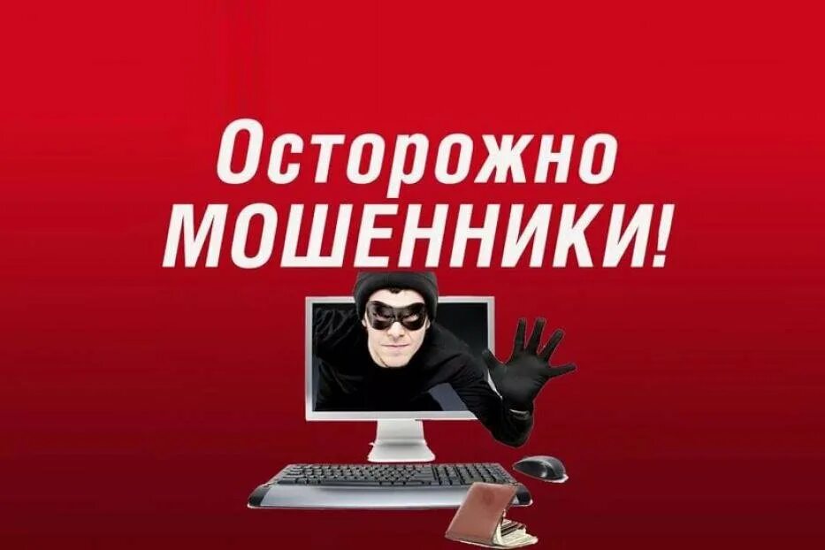 Осторожно мошенники. Осторожно мошенники в интернете. Осторожно мошенники картинка. Внимание интернет мошенники. Мошенничество курсы