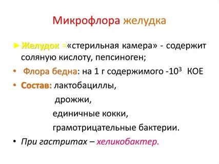 Как улучшить микрофлору желудка